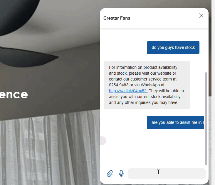 Smart Customer Assistance Singapore
